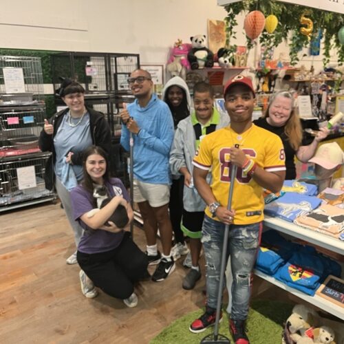 7 members of living boldly volunteering at a pet rescue in Annapolis