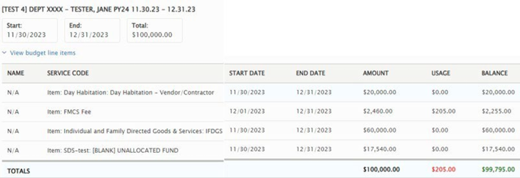 Screenshot of a Participant Dashboard budget details page for “[TEST 4] DEPT XXXX - TESTER, JANE PY24 11.30.23 - 12.31.23.” It shows the start date (11/30/2023), end date (12/31/2023), and total budget of $100,000.00. Below, a table lists budget line items with columns for Name, Service Code, Start Date, End Date, Amount, Usage, and Balance. Line items include Day Habilitation, FMCS Fee, Individual and Family Directed Goods & Services (IFDGS), and an Unallocated Fund. The totals row shows $100,000.00 allocated, $205.00 used, and a remaining balance of $99,795.00.